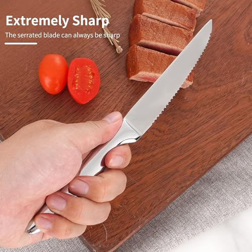 8-Piece Serrated Steak Knives Set - Stainless Steel Kitchen Cutlery, Silver Variation