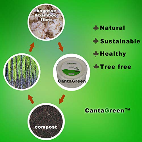 Heavy Duty Compostable Paper Plates 6 Inch Biodegradable Bagasse & Bamboo - 500 Count