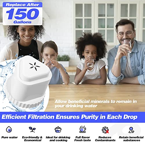 4-Pack Replacement Water Filter for Epic Water Pitcher - Fluoride & Lead Removal