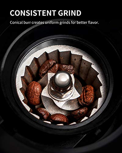 Electric Coffee Grinder with 35 Settings, Conical Burr, 2-12 Cup Capacity