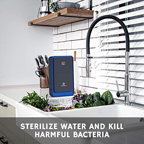 Airthereal AH1000 Portable Ozone Machine for Water and Air, 1000 mg/h