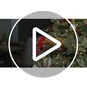 Mr. Christmas 16-Inch Animated Elf Kickers with Jingle Bells - Red (Variation: Elf / Tree Kickers)