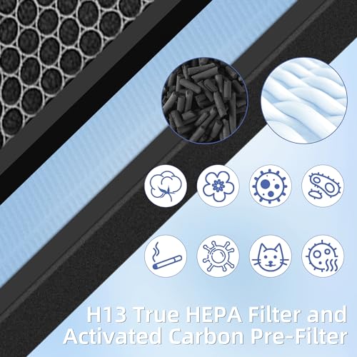 Pulluty HEPA Filter Replacement Set for Air Purifier HSP001 - 2 Pack with Activated Carbon Pre-Filters - Variation of 2 Combo Sets
