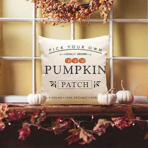 Fall Pumpkin Patch Throw Pillow Covers Autumn Harvest Pillow Case 20 x 20 Inch Farmhouse Decorations