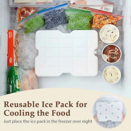 ANYPROLUS Silver Insulated Snackle Box with Ice Pack, 8 Compartments, Portable Food Storage