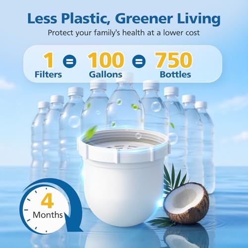 Water Pitcher Replacement Filter 2 Pack for Clearly Filtered No.1 - White