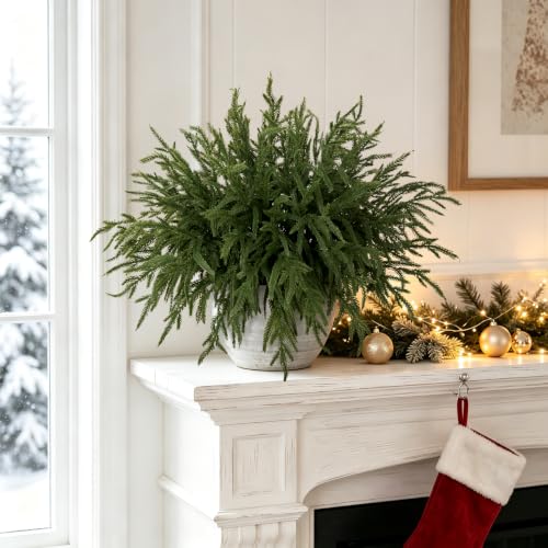 24Pcs Norfolk Pine Stems Real Touch 15" Artificial Christmas Branches