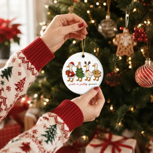 Silly Goose Christmas Ornament - Ceramic Double-Sided Hanging Decoration, 3in - Variation: Silly Goose Christmas