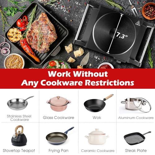 Black Techwood 1500W Portable Electric Hot Plate with Adjustable Temperature