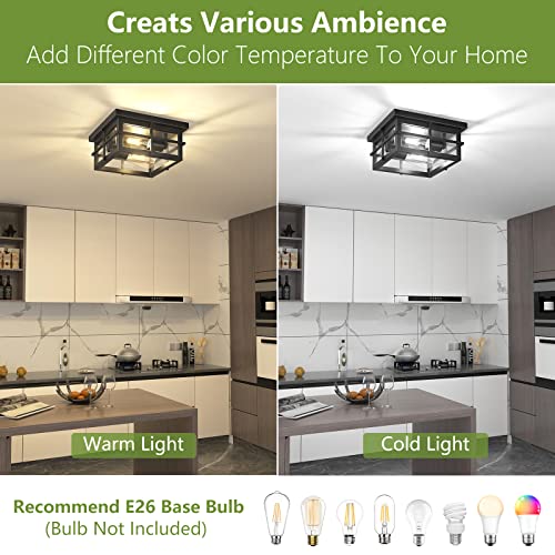 2-Light Modern Outdoor Ceiling Light Fixture with Clear Glass Shade - Black Farmhouse Square Flush Mount