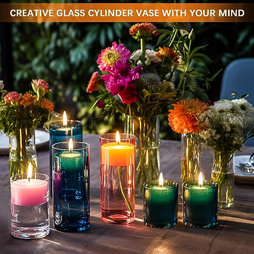 Homjoy 24 Pack Thick Clear Glass Cylinder Vases - 4, 6, 9, 12 Inch Tall for Flowers, Candles, Wedding & Home Decor