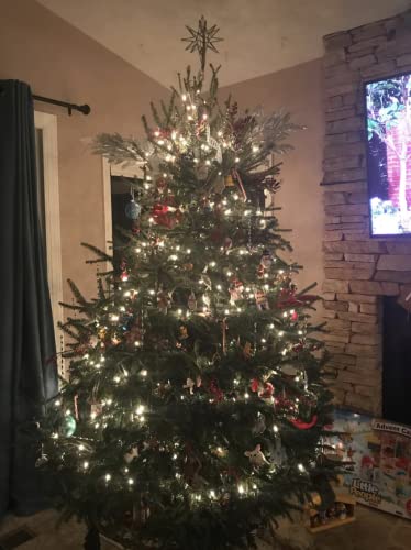 Heavy Duty Christmas Tree Stand for Live Trees Up to 8 Feet with Watering System