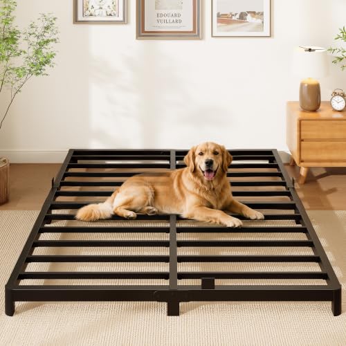 Queen Bed Frame - Black Low Profile Metal Platform Bed with Round Legs - Queen (U.S. Standard) Variation