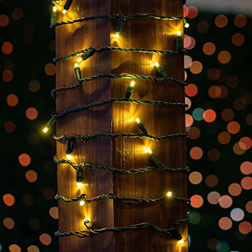 Novelty Lights 7 ft String Light Set with 20 LED Warm White on Green Wire - Connectable
