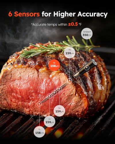JoyBear Silver Wireless Bluetooth Meat Thermometer with 6 Sensors & Instant Read