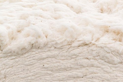 Grown In The USA Raw Cotton Stuffing - Eco-Friendly 3lb Batting for Crafts & Upholstery
