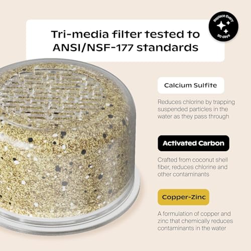 Canopy Showerhead Filter Replacement 1 Pack - 90 Day Use - Variation 1