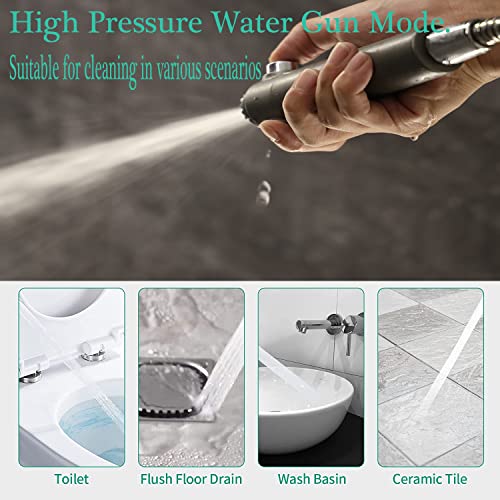 Gray Handheld Shower Head with High Pressure & Filter - 3 Modes, 59" Hose & Filter Replacement