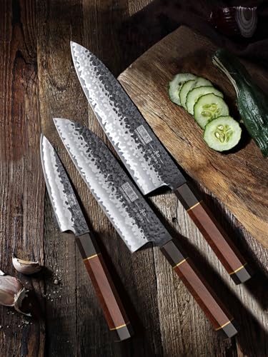 HOSHANHO 3-Piece Chef & Santoku Knife Set - High Carbon Steel Kitchen Knives