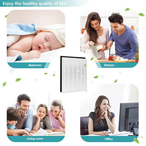 LHARI 2-Pack D480 HEPA Air Filter Compatible with Winix D480 Air Purifier