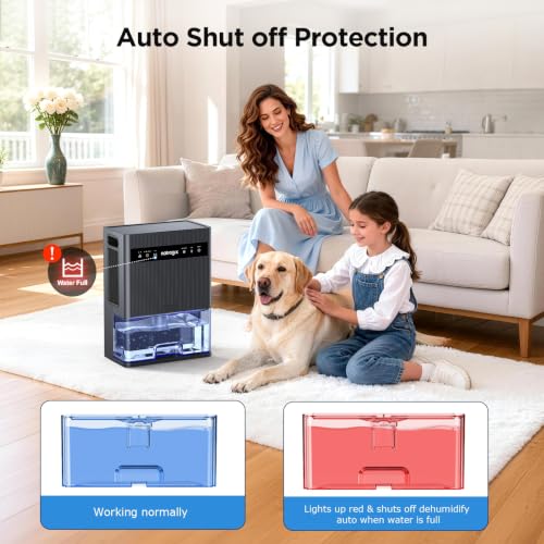 Black 106oz Large Capacity Home Dehumidifier for 1000 Sq. Ft. Space