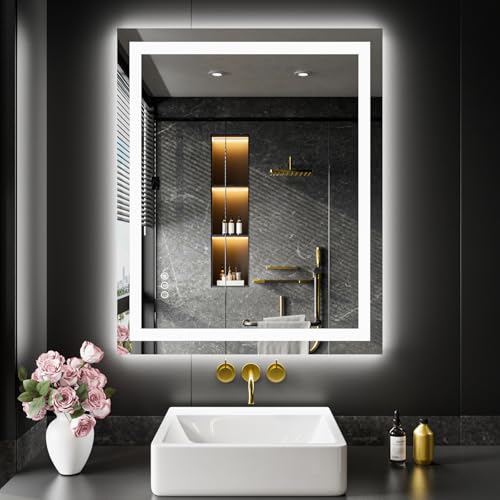 LED Bathroom Mirror with Lights 20x28 Inch Dimmable Anti-Fog Double Lighting