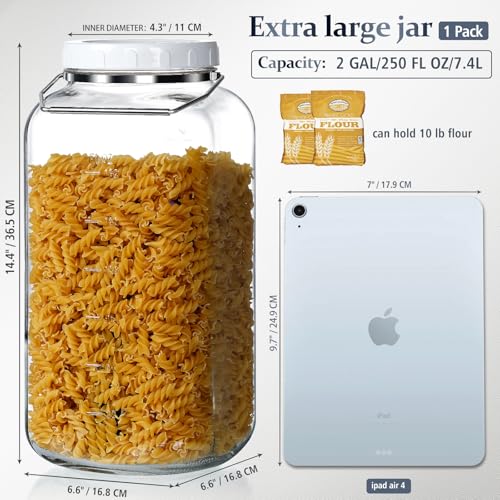 2 Gallon Airtight Glass Storage Jar with Removable Handle - Large Kitchen Canister