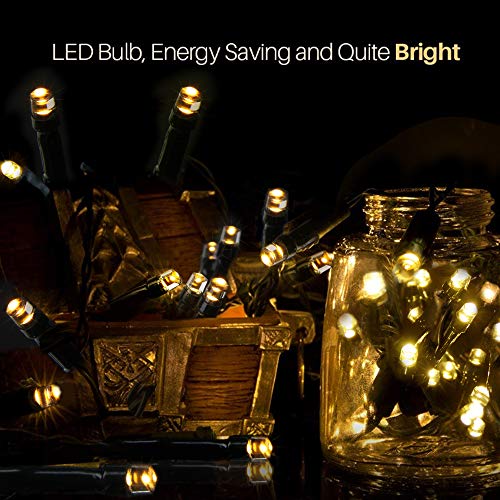 Warm White 50 LED Christmas String Lights with Timer, Battery Operated