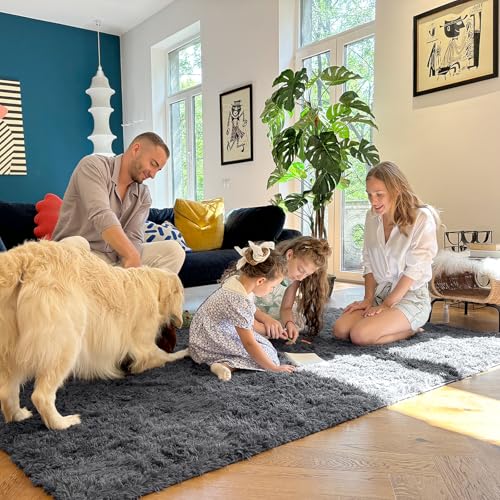 8x10 Ft Large Machine Washable Area Rug for Living Room & Bedroom - Grey, Soft Shaggy Floor Carpet