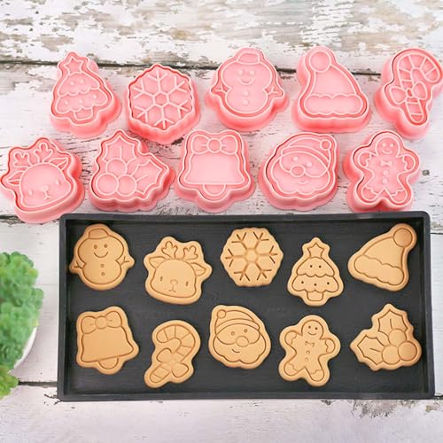 Lutoku 10 Piece Mini Christmas Cookie Cutters with 3D Stamps