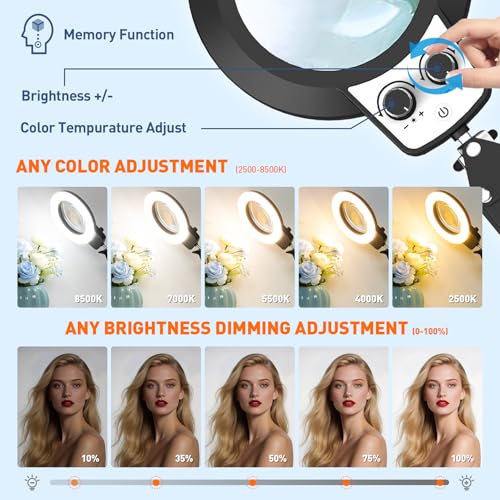 12X Magnifying Glass with Light & Extra-Long 35 Inch Clamp Stand - Adjustable LED Lamp