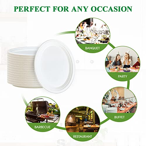 Vplus 12 Inch Compostable Oval Paper Plates 125 Pack White - Eco-Friendly Disposable Dinnerware