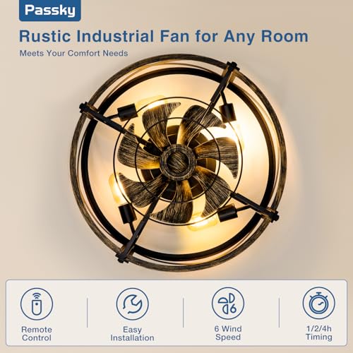 Black Brushed Gold 20-Inch Caged Ceiling Fan with Lights & Remote - Low Profile Fandelier