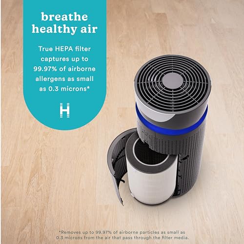 Homedics TotalClean 3-in-1 True HEPA Filter Replacement AP-T40 for Air Purifier