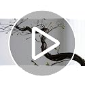 Artificial Tree Branches Wall Decor 67 Inch Rattan Vine for Home & Garden