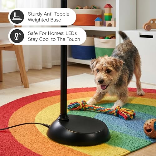 LED Floor Reading Lamp with Adjustable Gooseneck - Black