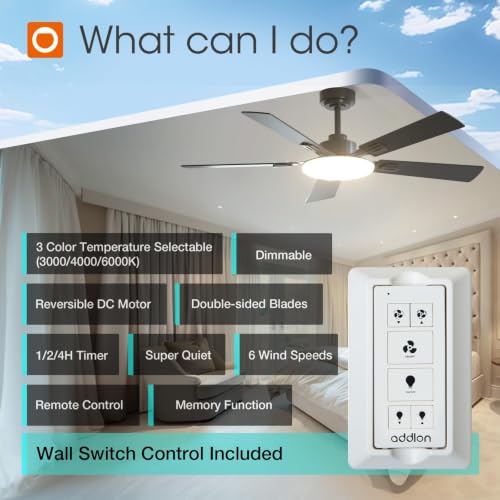 Black 52 Inch Ceiling Fan with Lights Remote Wall Switch - Modern Indoor & Outdoor