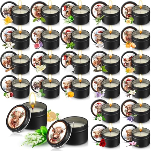 Nuanchu Highland Cattle 24-Pack Christmas Scented Candles Gift Set 2oz