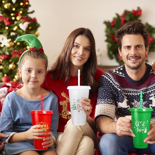 Whaline Christmas 12-Pack Reusable Plastic Tumblers with Lids & Straws - 24oz Holiday Party Cups in Red, Green, White Snow Design