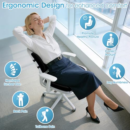 CushZone Extra Large Seat Cushion & Lumbar Support Pillow for Office, Black