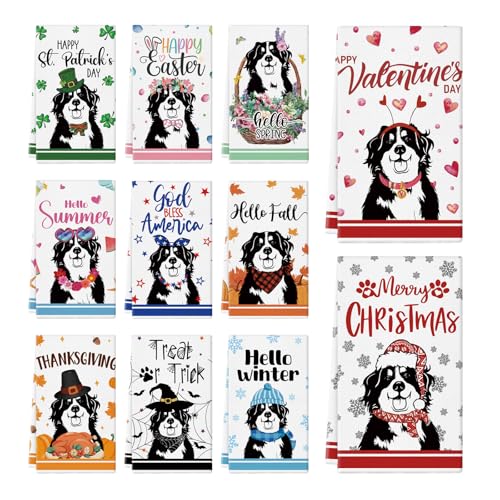 Bernese Mountain Dog Kitchen Towels - 11 Pcs 14x21 Inch Holiday & Gift Set