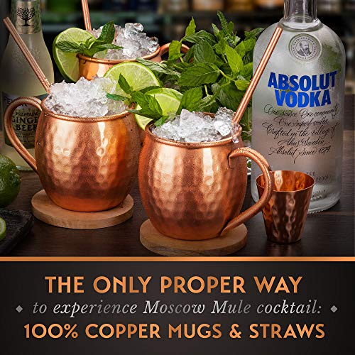 Yooreka Oval Copper Moscow Mule Mugs Set of 4 16oz Handcrafted Pure Copper Drinkware with Coasters & Accessories