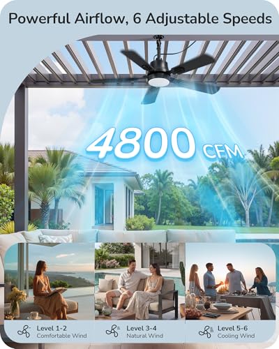 42-Inch Outdoor Waterproof Ceiling Fan with Light - Black, Remote Control