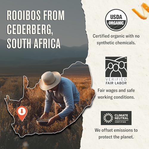 Rooibos Chai Tea - 100 Organic Herbal Tea Bags - Caffeine Free - Variation: Rooibos Chai / 100 Count