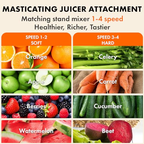 GVODE Masticating Juicer Attachment for KitchenAid Mixer - Dual Feed Chute
