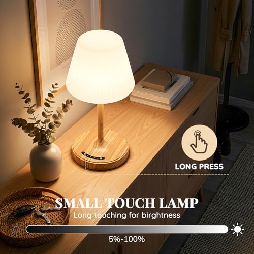 Wood Grain Waterproof Shower Lamp for Bathroom & Outdoor Decor