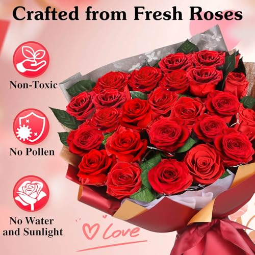 Preserved Red Roses Bouquet - 24 Long-Lasting Romantic Flowers - Ideal Anniversary & Gift for Women, Wife, Girlfriend