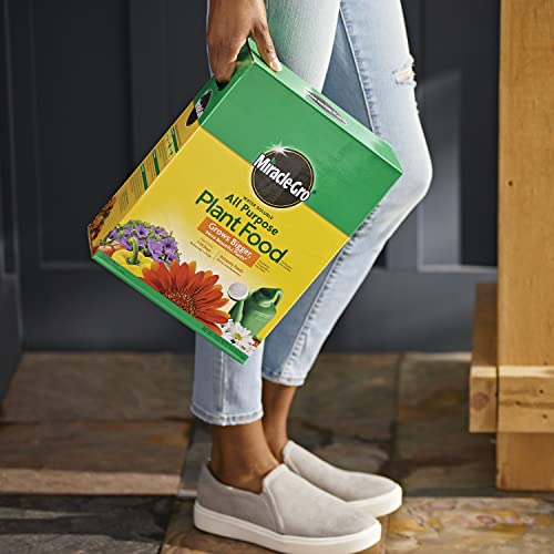 Miracle-Gro Water Soluble All Purpose Plant Food 10 lb – Fast-Acting Fertilizer