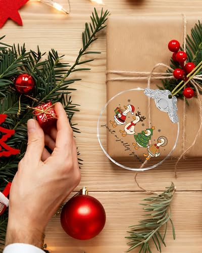 Mvxopqu Funny Goose Ornament 2025 for Christmas Tree - Duck Keepsake Gift for Goose Lovers, Women & Girls, One Size