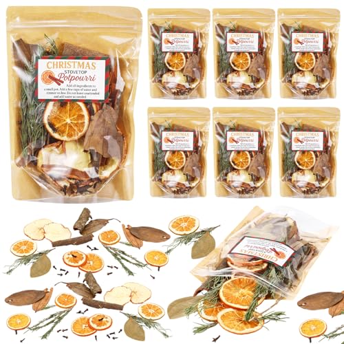 Dimsile 6 Pack Warm Holiday Christmas Potpourri Simmer Kit 480g